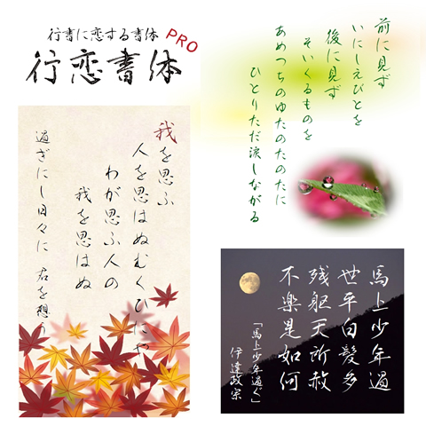 デザインフォントサンプル画像